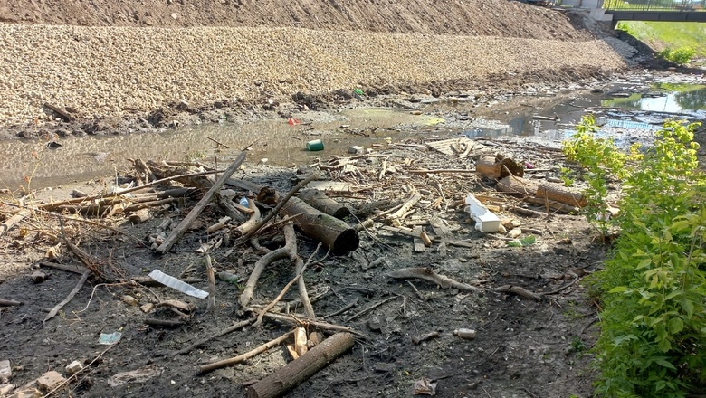 Обмелевшая нижегородская река Борзовка показала горы мусора