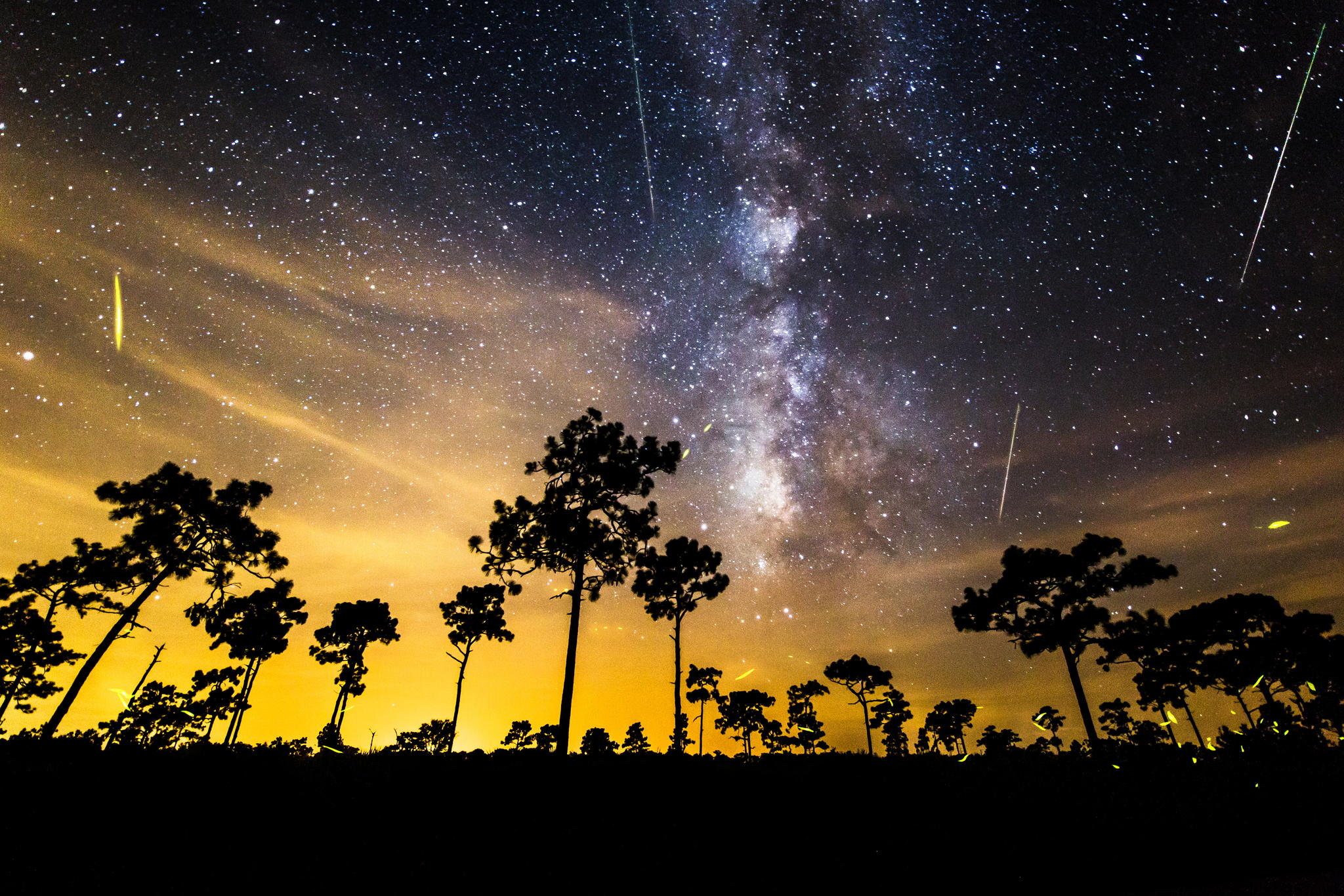 Лето звездное будь. Метеорный поток Южные Дельта-Аквариды. Звезда с неба. Ночное небо. Звездное небо.